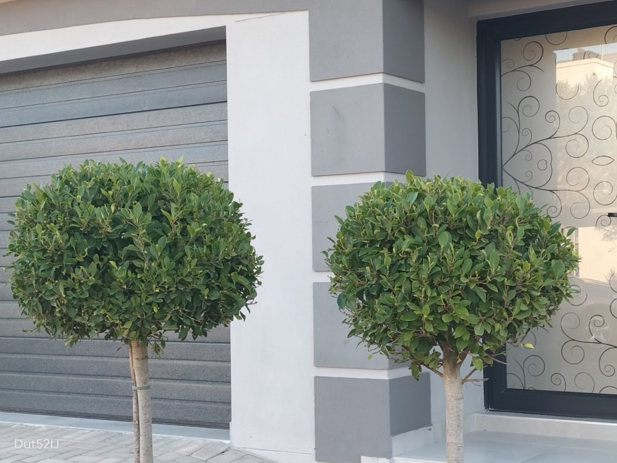 3 Bedroom Property for Sale in Tergniet Western Cape